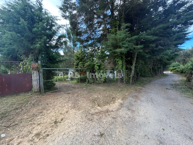 Terreno para Venda em Ferreira do Zezere Foto 6