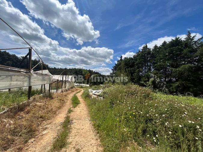 Terreno para Venda em Ferreira do Zezere Foto 3