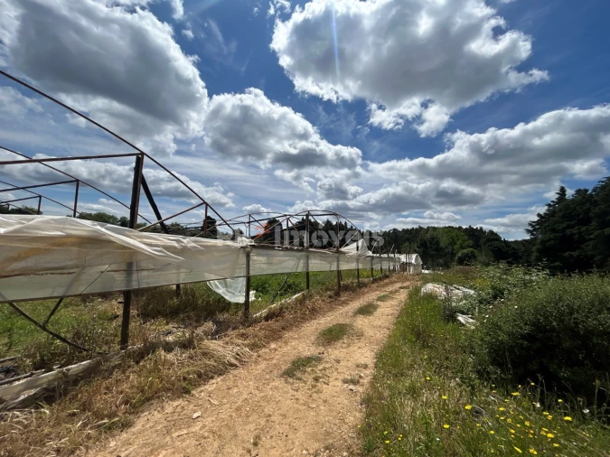 Terreno para Venda em Ferreira do Zezere Foto 12