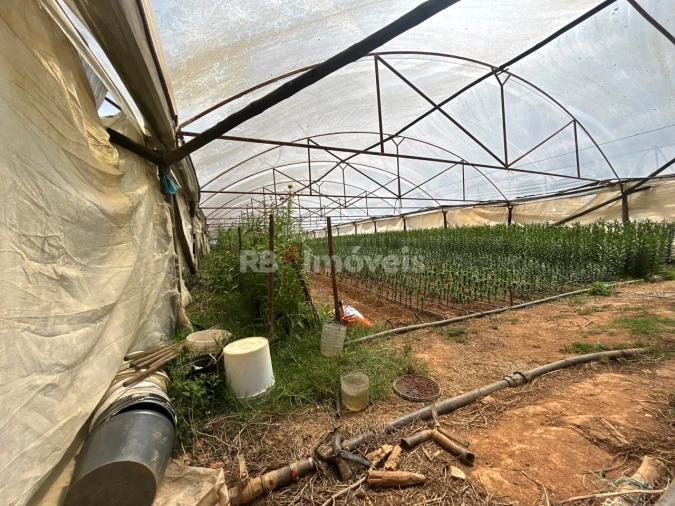 Terreno para Venda em Ferreira do Zezere Foto 15