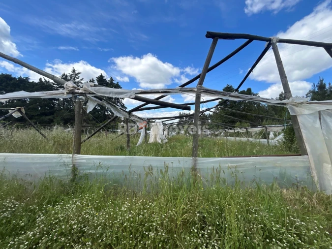 Terreno para Venda em Ferreira do Zezere Foto 21