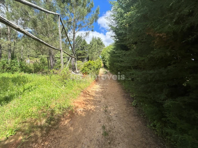 Terreno para Venda em Ferreira do Zezere Foto 27