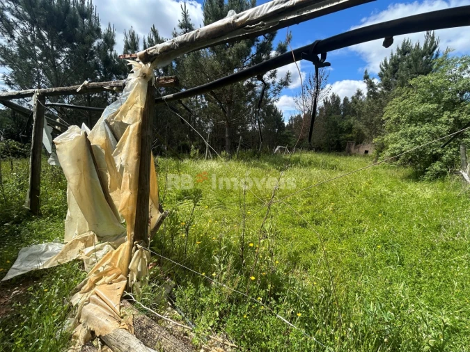 Terreno para Venda em Ferreira do Zezere Foto 32