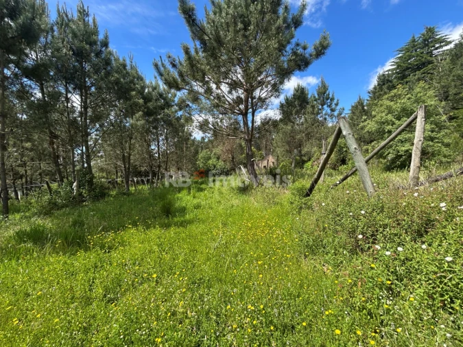 Terreno para Venda em Ferreira do Zezere Foto 33