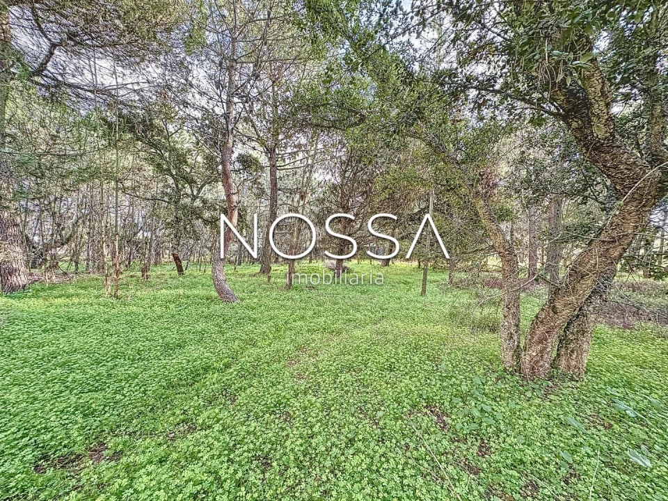 Terreno para Venda em Sesimbra (Castelo) Foto 5