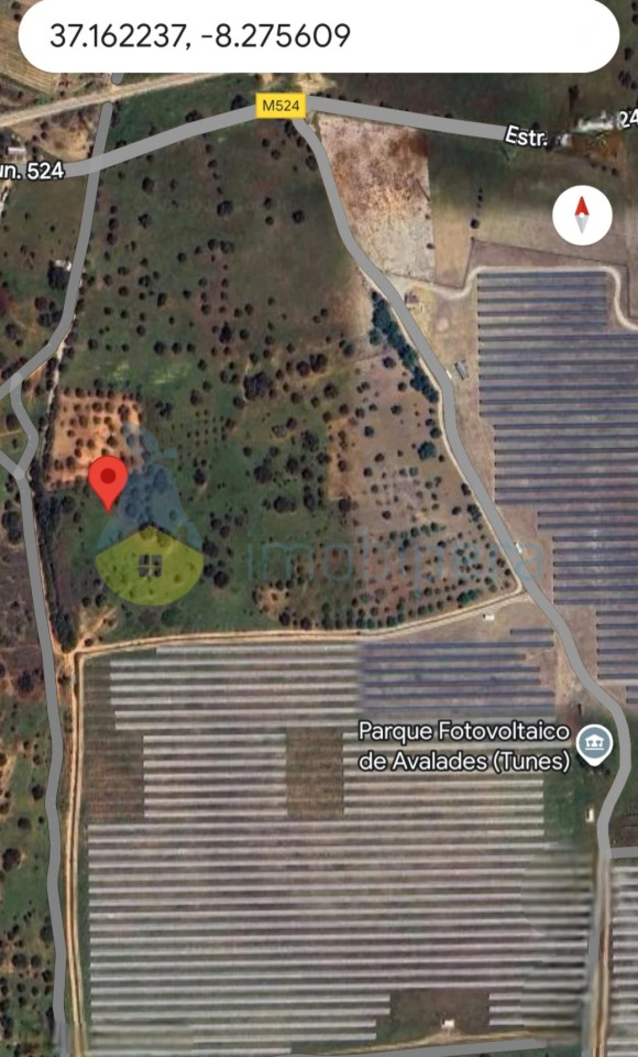 Terreno Agricola ou Rústico para Venda em Algoz e Tunes Foto 2