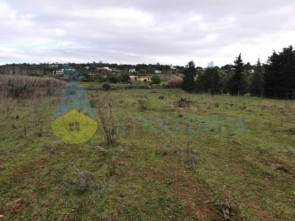 Terreno Agricola ou Rústico para Venda em Algoz e Tunes Foto 1