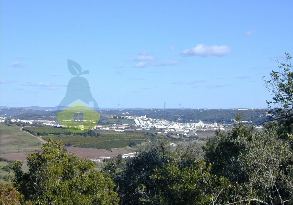 Terreno para Venda em Silves Foto 3