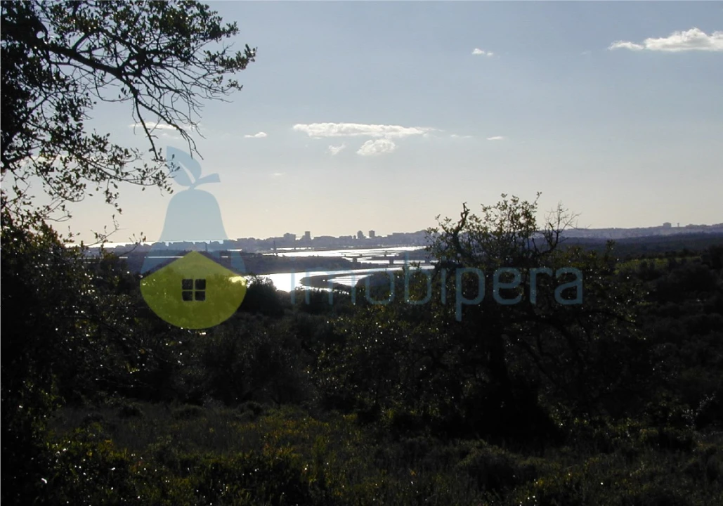 Terreno para Venda em Silves Foto 4