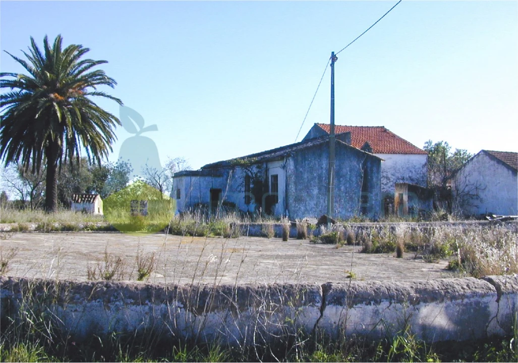 Terreno para Venda em Silves Foto 5