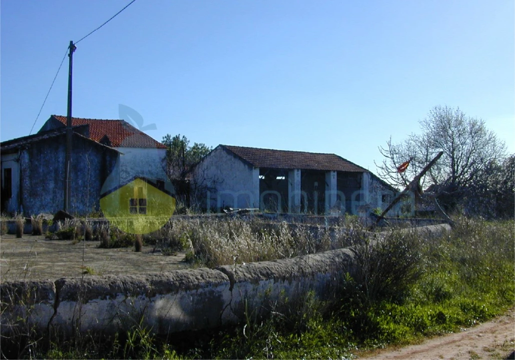 Terreno para Venda em Silves Foto 6