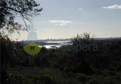 Terreno para Venda em Silves