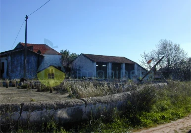 Terreno para Venda em Silves