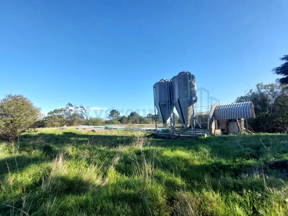 Terreno para Venda em Salir de Matos Foto 3