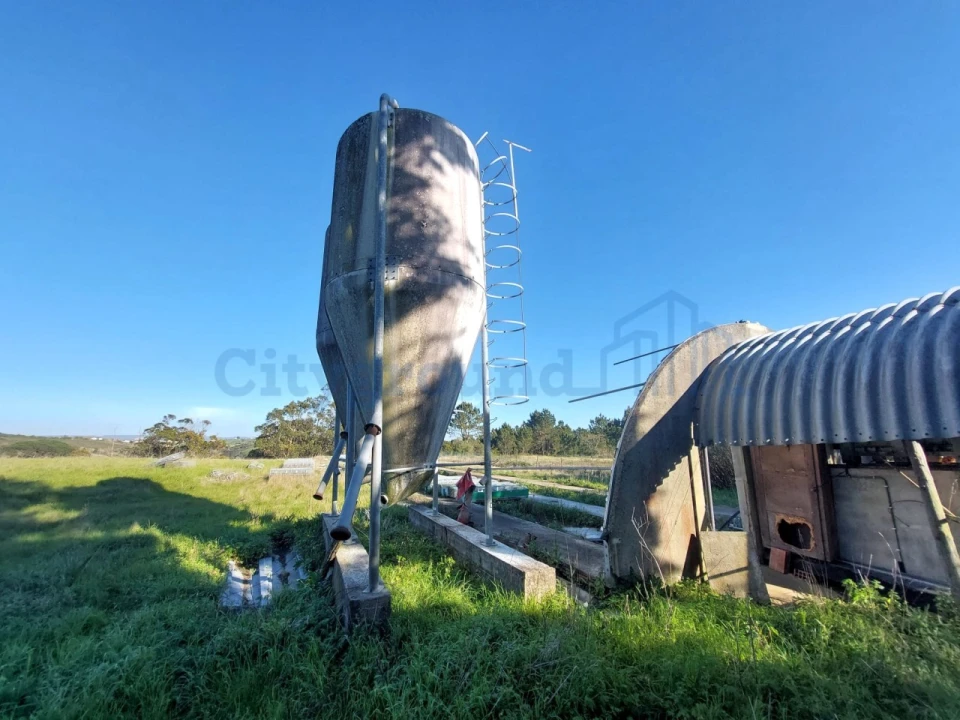 Terreno para Venda em Salir de Matos Foto 4