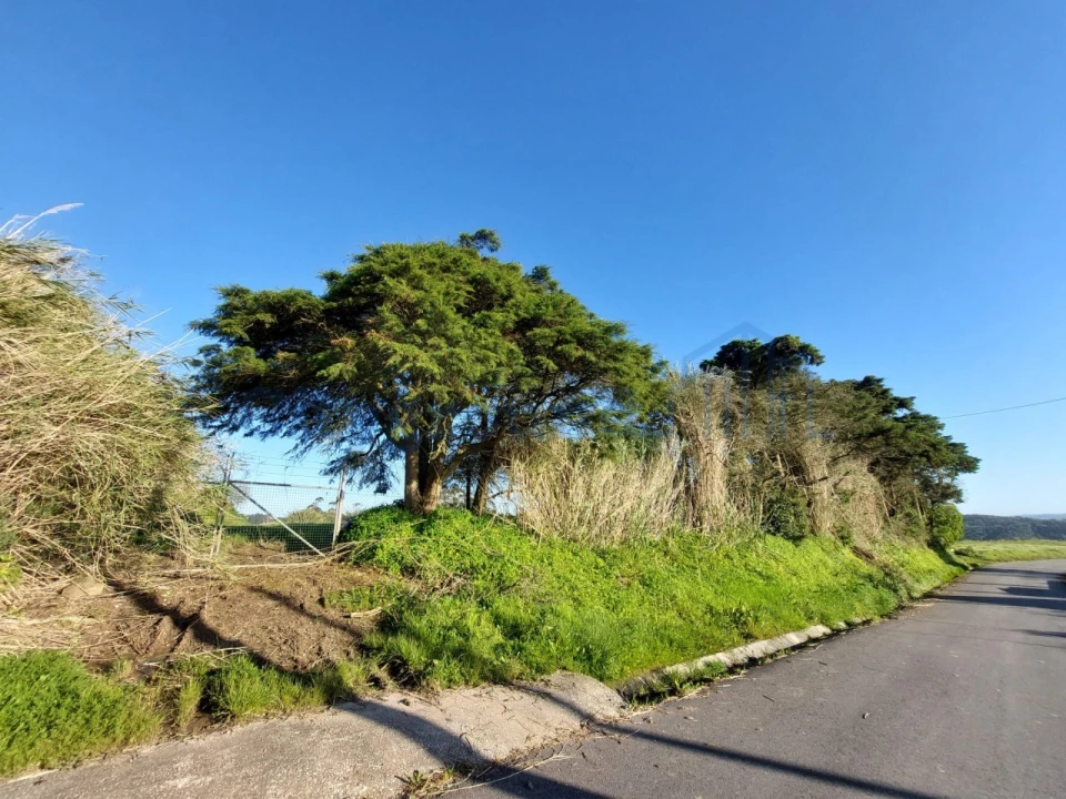 Terreno para Venda em Salir de Matos Foto 7