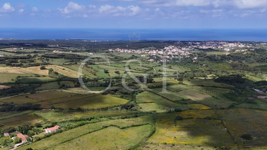 Moradia T4 para Venda em São João das Lampas e Terrugem Foto 16