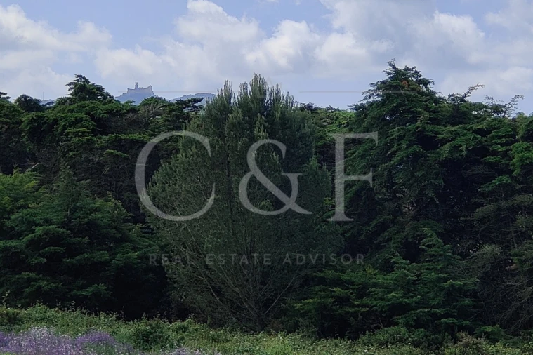 Moradia T4 para Venda em São João das Lampas e Terrugem Foto 77