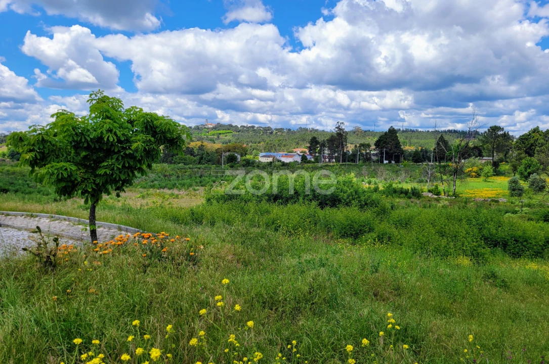 Terreno para Venda em Mangualde, Mesquitela e Cunha Alta Foto 6