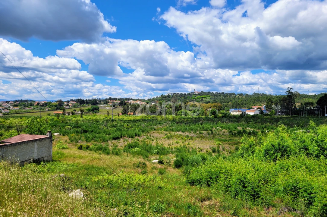 Terreno para Venda em Mangualde, Mesquitela e Cunha Alta Foto 13