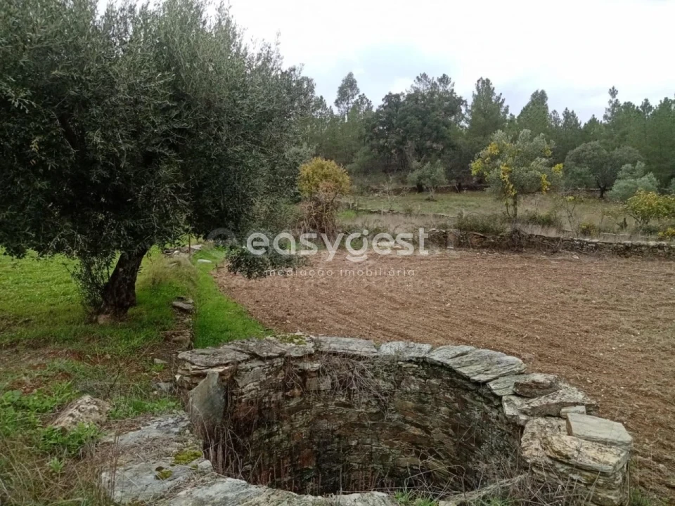 Terreno Agricola ou Rústico para Venda em Benquerenças Foto 2