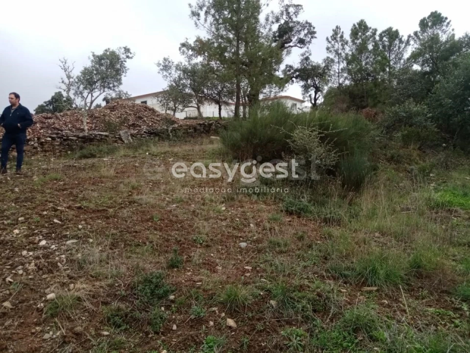 Terreno Agricola ou Rústico para Venda em Benquerenças Foto 3