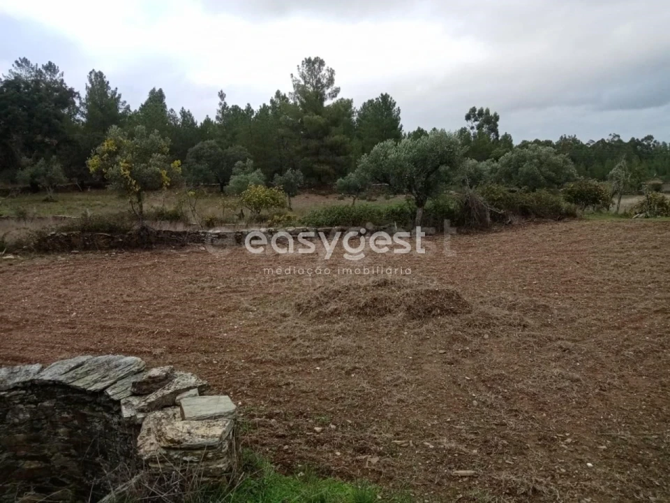 Terreno Agricola ou Rústico para Venda em Benquerenças Foto 7
