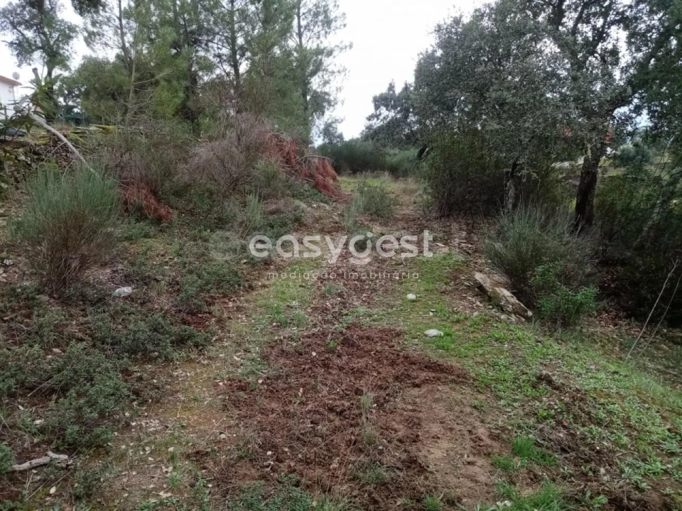 Terreno Agricola ou Rústico para Venda em Benquerenças Foto 9