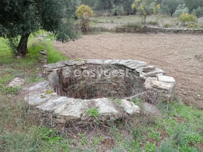 Terreno Agricola ou Rústico para Venda em Benquerenças Foto 1