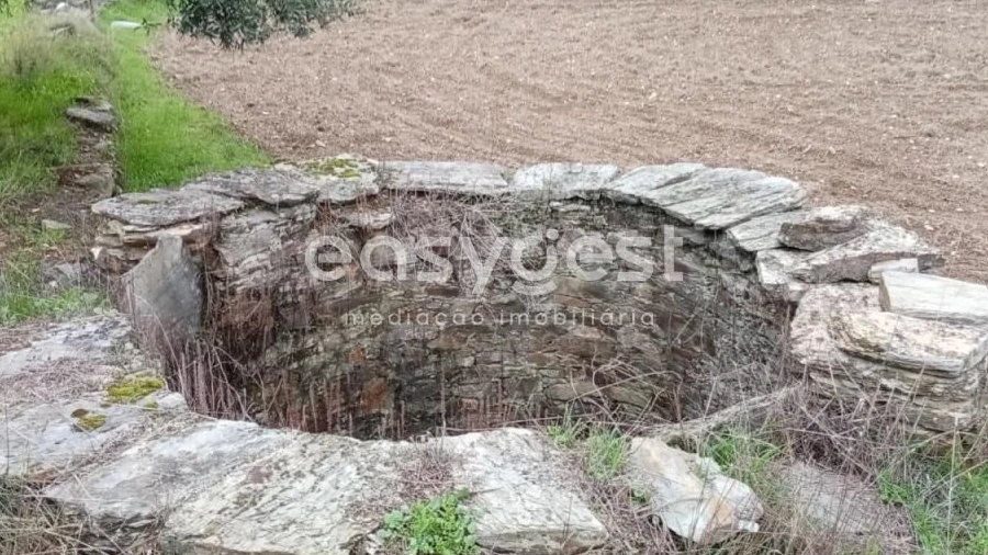 Terreno Agricola ou Rústico para Venda em Benquerenças