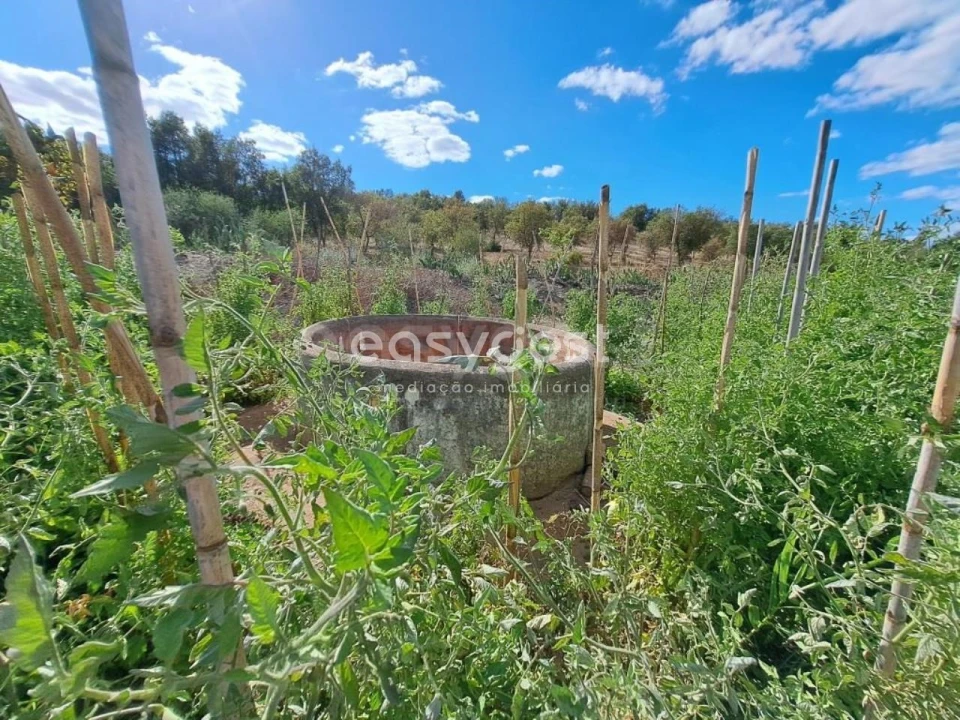 Quinta T2 para Venda em Serpa (Salvador e Santa Maria) Foto 2