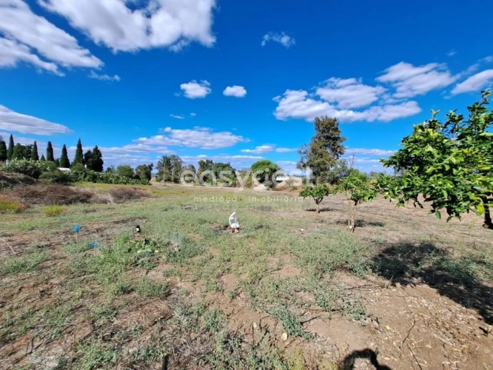 Quinta T2 para Venda em Serpa (Salvador e Santa Maria) Foto 18