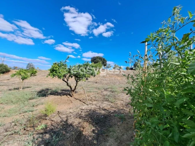 Quinta T2 para Venda em Serpa (Salvador e Santa Maria) Foto 3