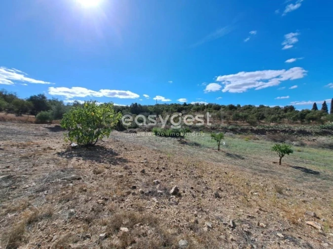 Quinta T2 para Venda em Serpa (Salvador e Santa Maria) Foto 5