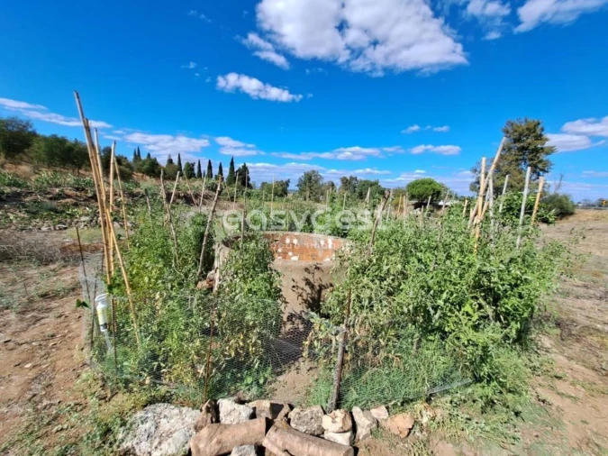 Quinta T2 para Venda em Serpa (Salvador e Santa Maria) Foto 6