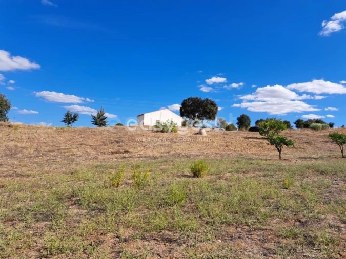 Quinta T2 para Venda em Serpa (Salvador e Santa Maria) Foto 12