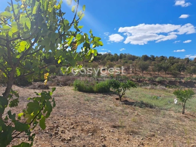 Quinta T2 para Venda em Serpa (Salvador e Santa Maria) Foto 20