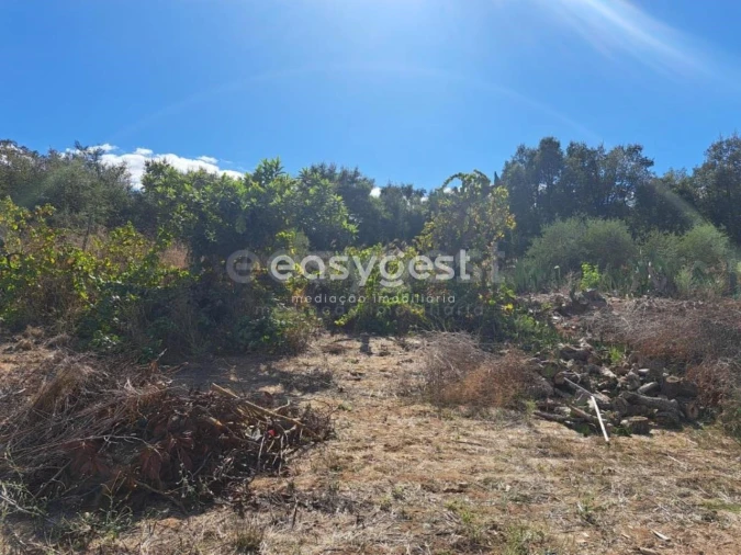 Quinta T2 para Venda em Serpa (Salvador e Santa Maria) Foto 21