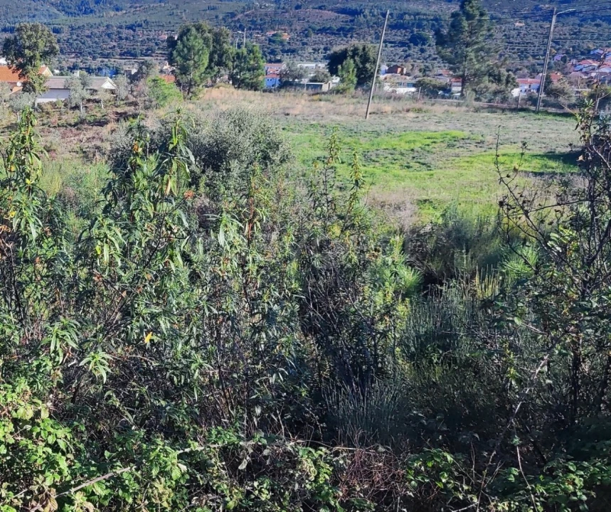 Terreno para Venda em São Vicente da Beira Foto 5