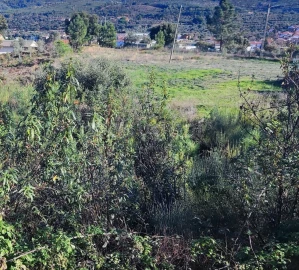 Terreno para Venda em São Vicente da Beira