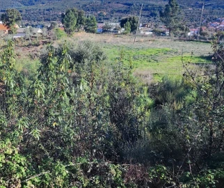 Terreno para Venda em São Vicente da Beira