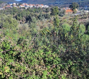 Terreno para Venda em São Vicente da Beira