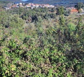 Terreno para Venda em São Vicente da Beira