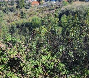 Terreno para Venda em São Vicente da Beira