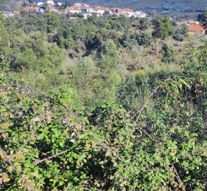 Terreno para Venda em São Vicente da Beira