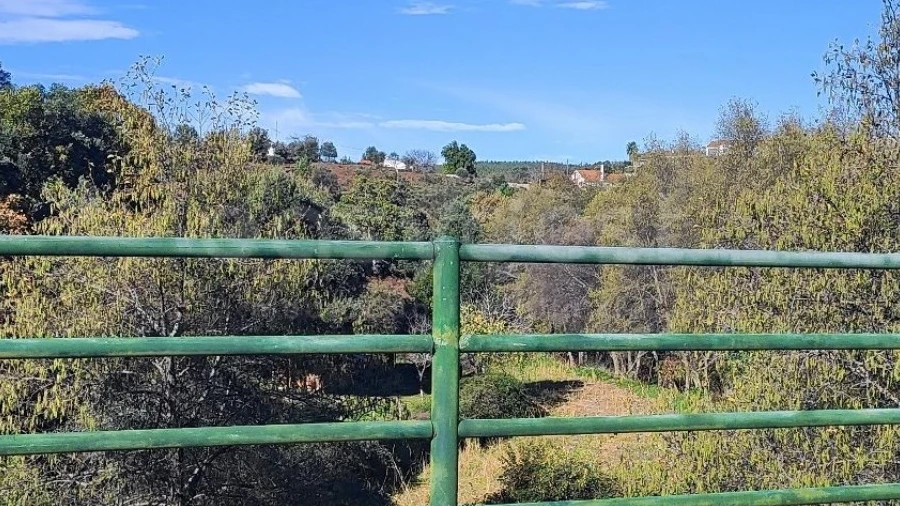 Terreno para Venda em São Vicente da Beira