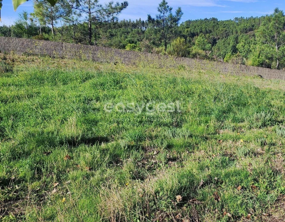 Terreno para Venda em São Vicente da Beira Foto 1