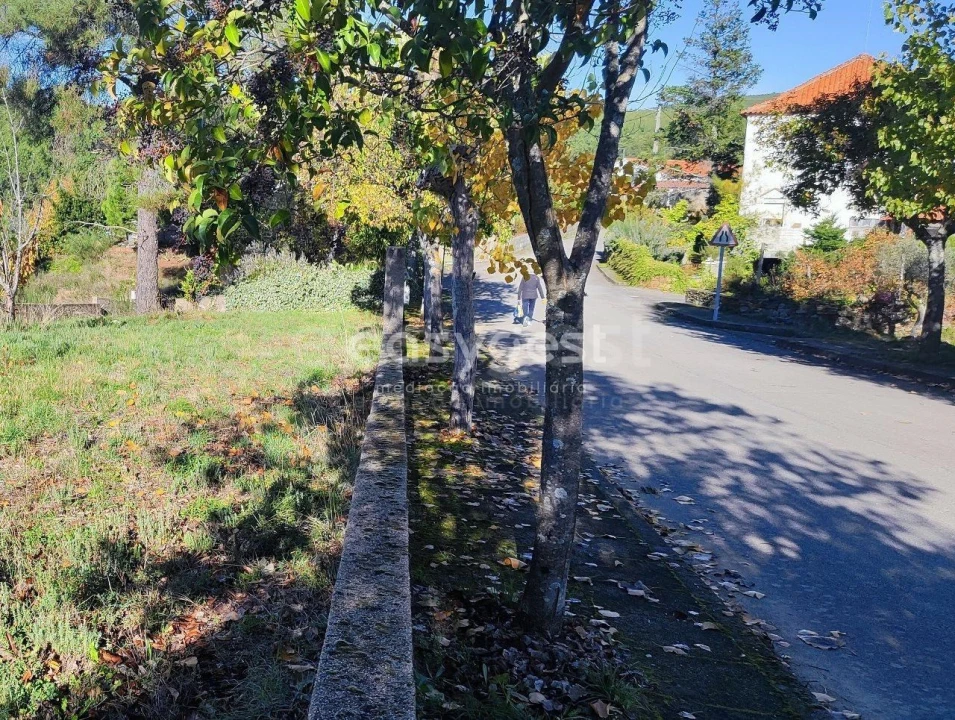 Terreno para Venda em São Vicente da Beira Foto 2
