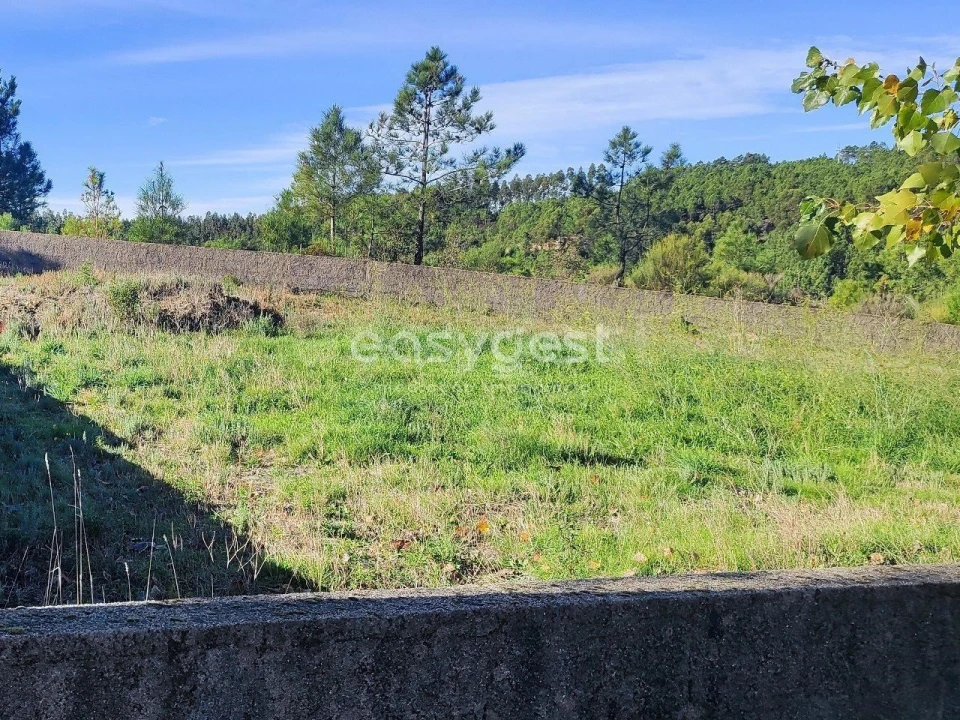 Terreno para Venda em São Vicente da Beira Foto 9