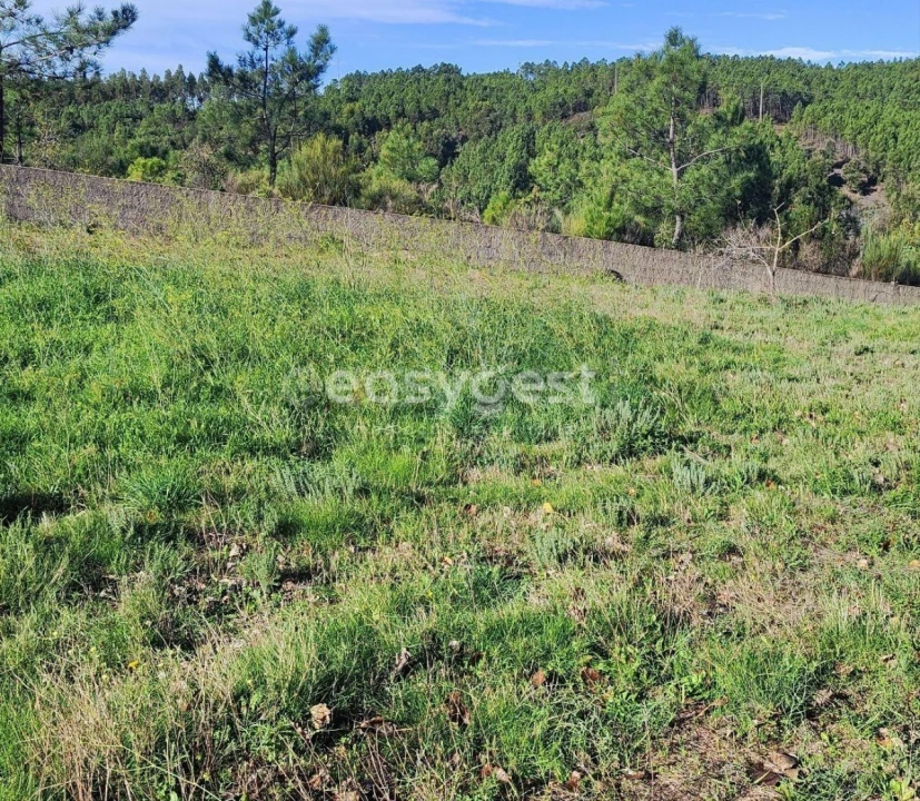 Terreno para Venda em São Vicente da Beira Foto 11